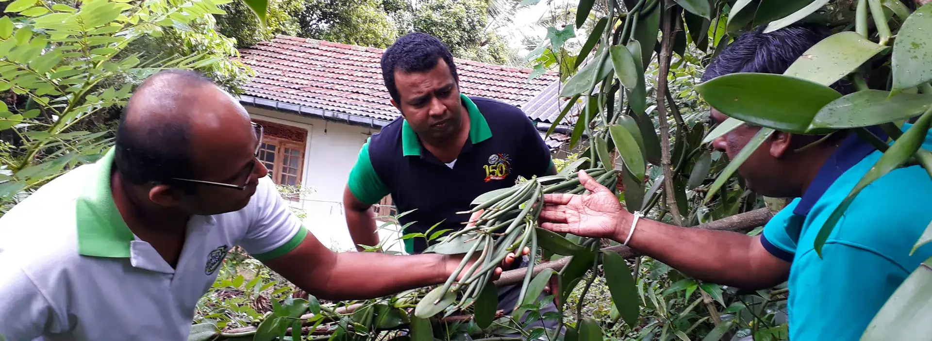 Providing technical assistance to Sri Lankan vanilla farmers